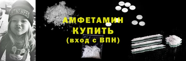 ПСИЛОЦИБИНОВЫЕ ГРИБЫ Тайга