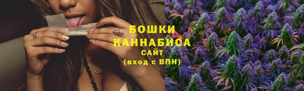 спайс Белокуриха