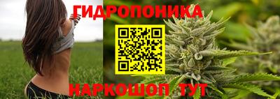 МДПВ Будённовск