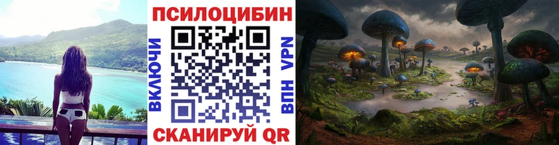 Галлюциногенные грибы Psilocybe  даркнет сайт  KRAKEN ТОР  площадка состав  Вязьма 