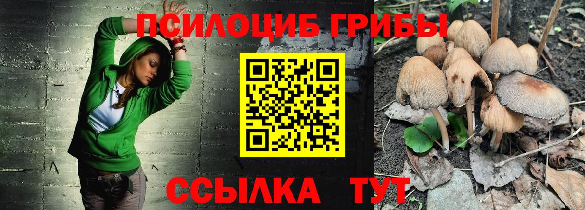 Галлюциногенные грибы мицелий Вязьма